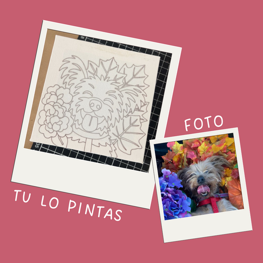 KIT MASCOTA TIPO ILLUSTRACION